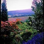 Bed and Breakfast Vinica Limbach