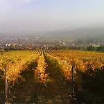 Bed and Breakfast Vinica 3*