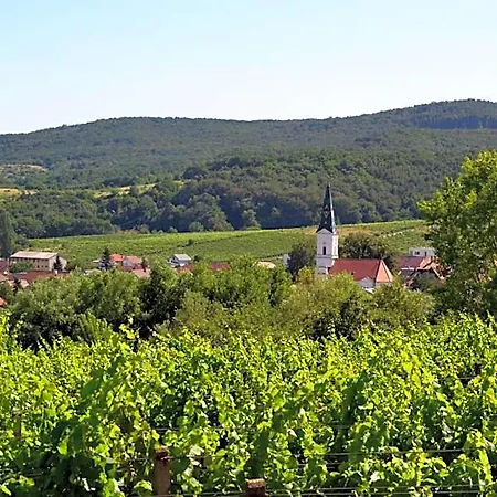 Nocľah s raňajkami Vinica 3*