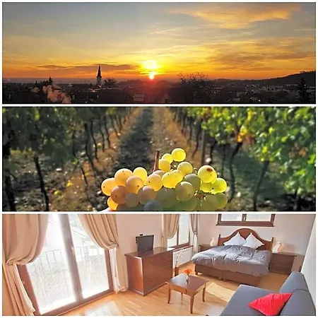 Nocľah s raňajkami Vinica Limbach