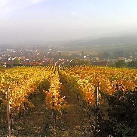 Vinica 3* Limbach