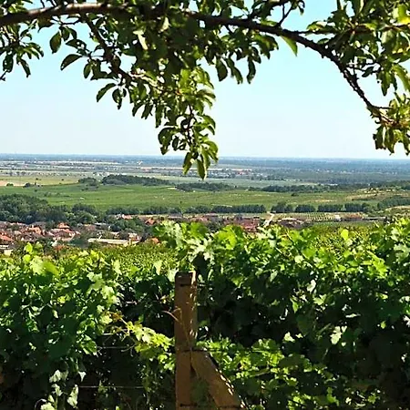 Vinica