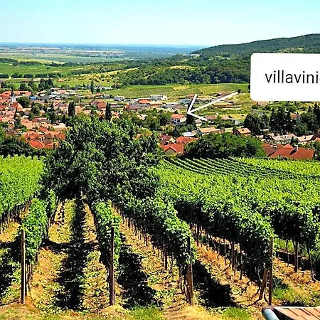 Vinica Nocľah s raňajkami 3*