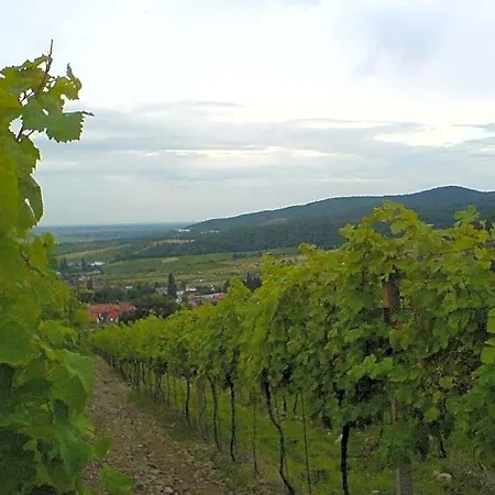 Vinica Nocľah s raňajkami