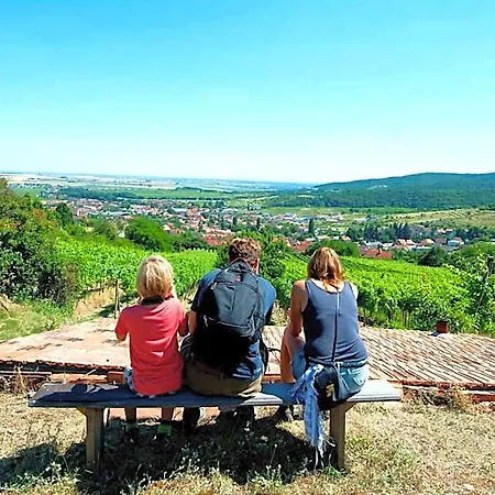 Nocľah s raňajkami Vinica 3*