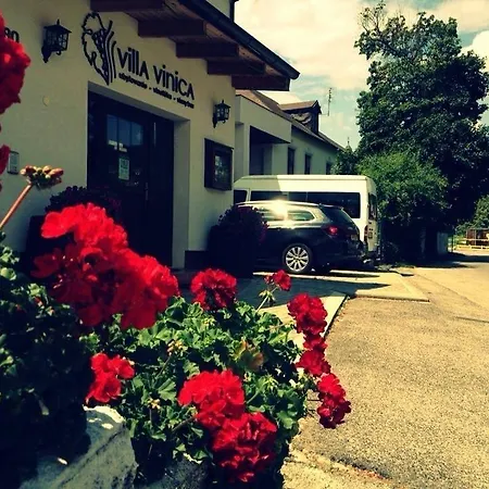 Bed & Breakfast Vinica Limbach