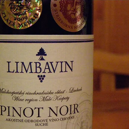 Bed & Breakfast Vinica 3*