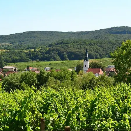 Vinica Limbach