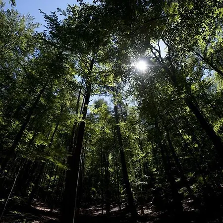 Nocľah s raňajkami Vinica Limbach