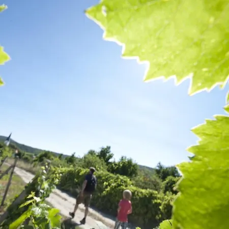 Bed & Breakfast Vinica