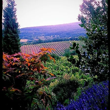 Couette-café Vinica Limbach