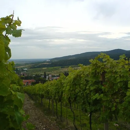 Vinica Limbach