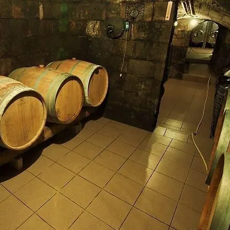 Vinica