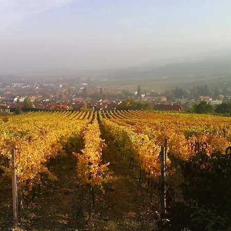 Bed & Breakfast Vinica 3*