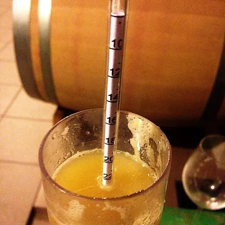 Bed & Breakfast Vinica