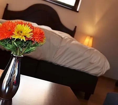 Bed & Breakfast Vinica Limbach