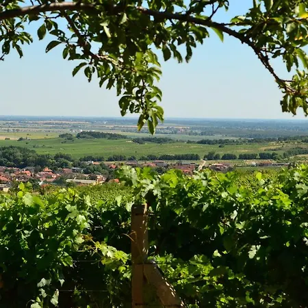 Bed & Breakfast Vinica 3*