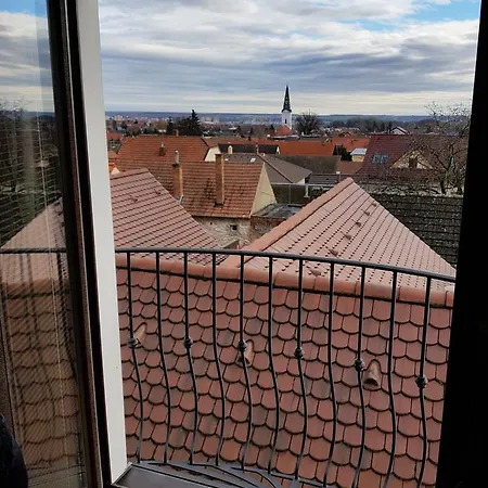 Vinica