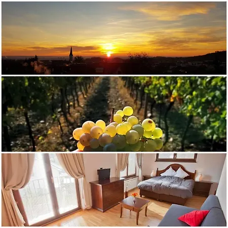 Vinica 3*