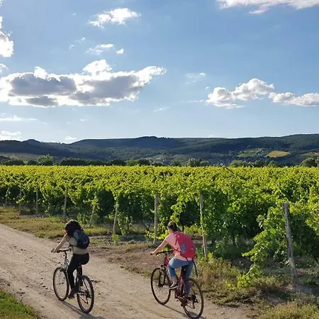 Bed & Breakfast Vinica Limbach